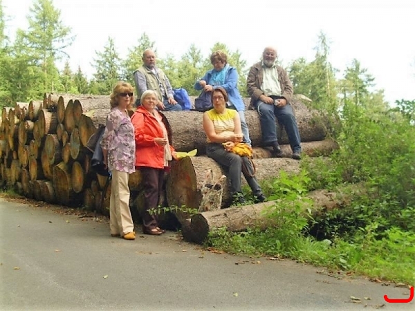 Wanderung um die Möhne_7