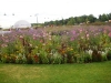 Floriade NL_3